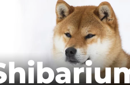 Shiba Inu Stablecoin SHI Nears Completion, SHIB Introduces Shibarium Financial Ecosystem