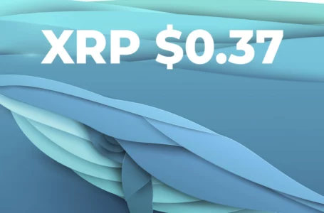 XRP Declines to $0.37 as Whales Move 440.3 Million Tokens