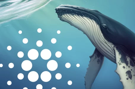 Cardano Whale Transaction Volume Soars – ADA Price Direction Change Likely, Santiment Says