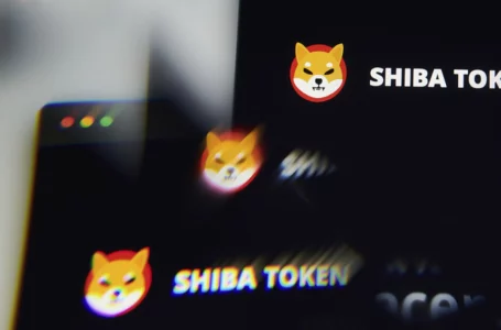 Shiba Inu Army Destroys 1 Billion Meme Tokens Over Last 48 Hours: Report