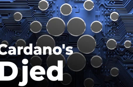 Cardano’s Djed Compared to Terra’s UST by Community: Details