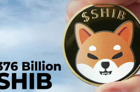 376 Billion SHIB Bought by Whale as Shiba Is Back on Top 10 Most-Traded Tokens List