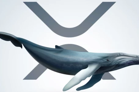 Half Billion XRP Moved from FTX and Other Top Exchanges: Whale Alert