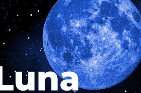 Almost 100% of Luna Users Are Denying Terra Co-Founder’s Plan