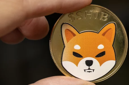 Shiba Inu Faces Spike in Purchases After Reaching Fundamental Support