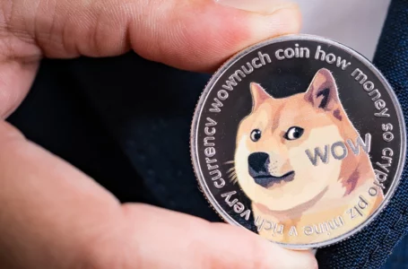Dogecoin Profitability Increases to 53%, On-Chain Signals Hint at Bullish Indications