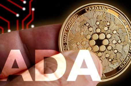 “Where Did the ADA Go?” Cardano’s Founder Reacts to User’s Allegation of Loss Worth Over 7,000 Euros