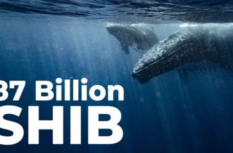 Whale Buys 87 Billion SHIB, While Shiba Balance of Top Investors Shrinks