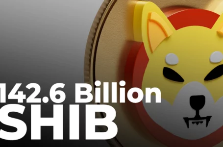 142.6 Billion SHIB Purchased by Investor as Whales’ Shiba Balance Falls Below $500 Million