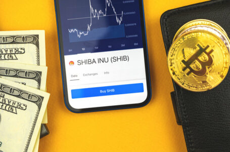 Shiba Inu (SHIB) could drop by around 15% before any bull run
