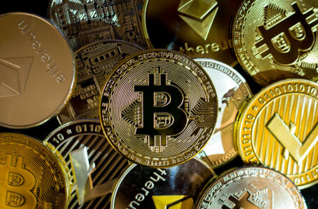 Investors show preference for Bitcoin at expense of altcoins