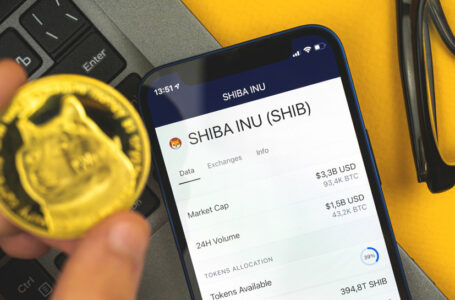 Shiba Inu v Dogecoin – Which one is a better buy?