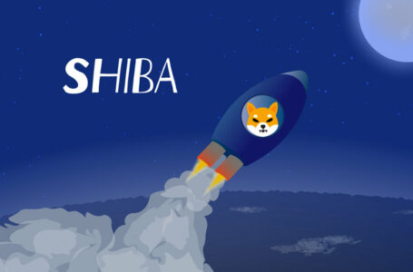 Shiba Inu jumps 27% after getting listed on Rain, a top Middle East crypto exchange