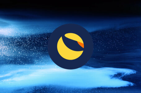 Cryptos in the green, LUNA holders vote to rebuild protocol