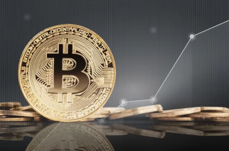 Bitcoin Holders’ Activity Sets New Milestone Despite BTC’s Lull Near $29K