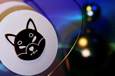 SHIB Can Now Be Accepted by Merchants Thanks to New Partnership
