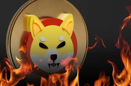 2.5 Billion SHIB Burned in Past 7 Days, While Shiba Surges 14%