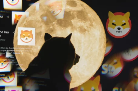 Shiba Inu Whale’s Trading Volume Spikes 341% with Over 33,000 New SHIB Holders in May