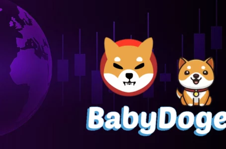 BabyDoge Holder Count Soars to 1.5 Million ATH, Surpassing Shiba Inu