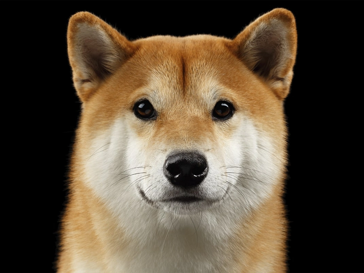 Dogecoin