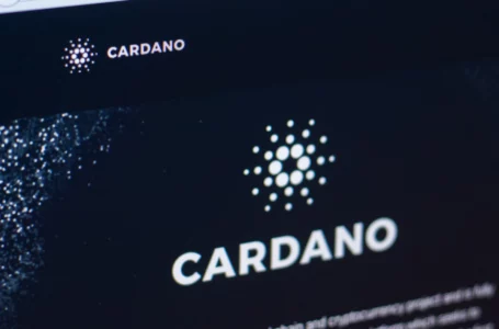 Cardano’s Sidechain Milkomeda Could Become Network’s ZkRollup