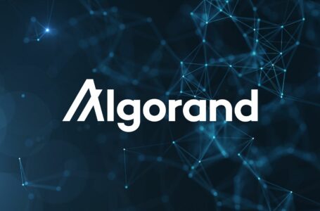 Algorand (ALGO) Review: Everything You Need To Know