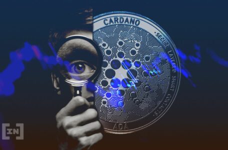 Cardano TVL Crashes By 62% From Its All-Time High