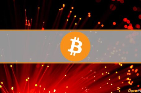 Crypto Markets Lost $300B in 4 Days, Bitcoin Saw Lowest Daily Close Since July 2021 (Market Watch)