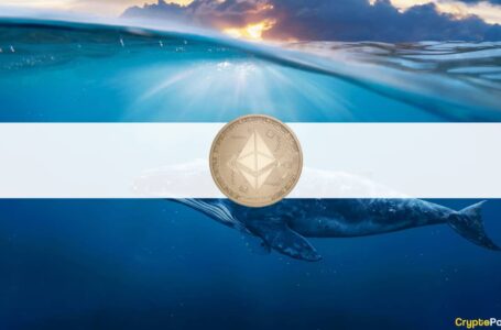 Ethereum Whale Transactions Hit 4-Month High
