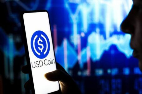 The Demand For USDC Spike, Yet It May Delay The Overtaking Of USDT! Here Is Why￼￼