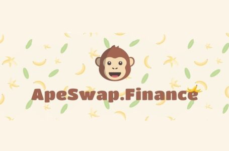 ApeSwap Review: All You Need To Know
