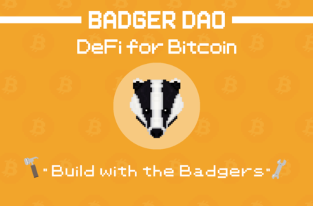 Badger DAO (BADGER) Review: Everything You Need To Know