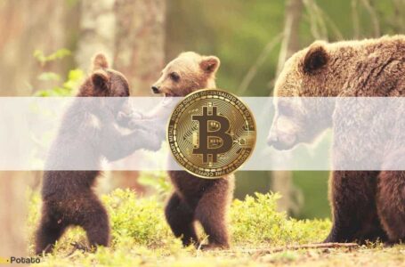 Bitcoin Plummets to December 2020 Lows, Altcoins See 30-50% Daily Collapses: Market Watch