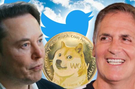 Elon Musk, Mark Cuban Discuss Using Dogecoin to Solve Twitter Spam Problem