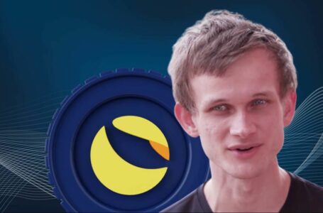 Vitalik Buterin Calls Out For Strict Defi Survey Following Terra Collapse