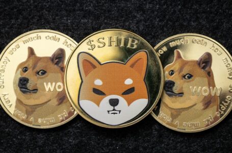 Meme Token Carnage — DOGE, SHIB Prices Sink Lower, Dogecoin Down 82% Since Last Year
