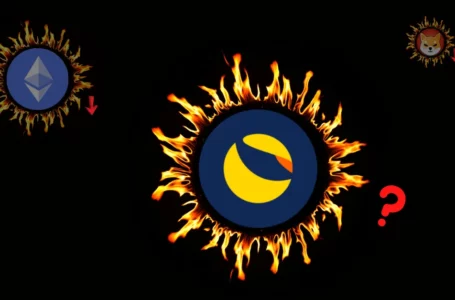 Will Burning Excess LUNA tokens Really Impact the Price After it Failed Miserably with SHIB & ETH Price?