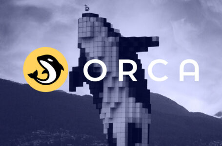 Orca (ORCA) Review: All You Need To Know