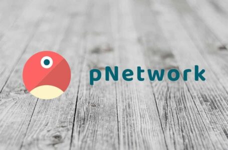 pNetwork (PNT) Review: Everything You Need To Know