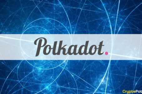 Almost 130 Million Polkadot (DOT) Locked in Parachains as of Q1 2022, Report