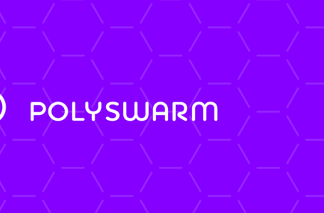 PolySwarm (NCT) Review: All You Need To Know
