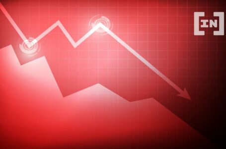 Investors: 60% Used Borrowed Funds to Buy Their Now-Crashed Coins