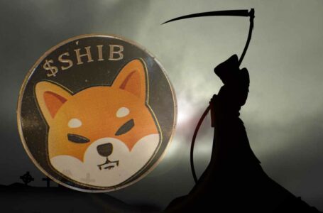 Finder’s Panel Predicts Death of Shiba Inu Crypto — SHIB Expected to Have No Value by 2030