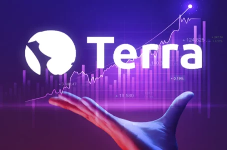 As New Terra Chain Voting See An End, This Is How The Launch Is Planned