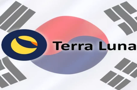South Korean Terra(LUNA) Holders Skyrocketed After Its Crash! Here’s Why