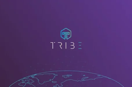 Tribe (TRIBE) Review: All You Need To Know