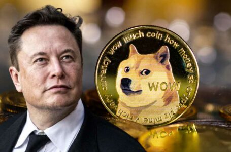 Tesla CEO Elon Musk Reaffirms Dogecoin ‘Has Potential as a Currency’ as Twitter Deal Is Put on Hold