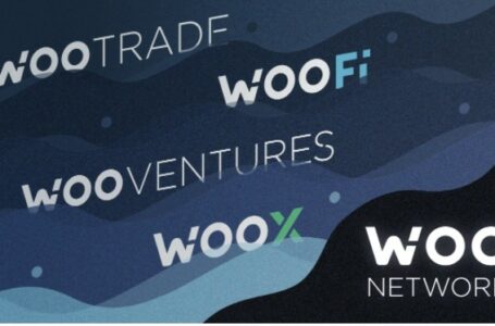 Woo Network (WOO) Review: Everything You Need To Know