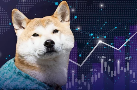 Shiba Inu Shows Double-Digit Weekly Social Performance: LunarCrush