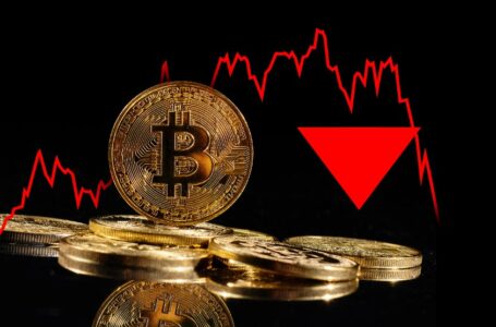 Losses are tragic but investors have ‘fair warning’, Tether co-founder says